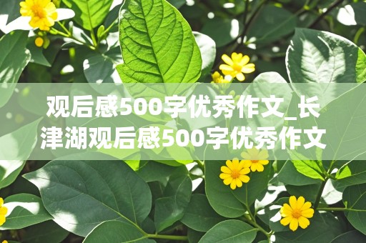 观后感500字优秀作文_长津湖观后感500字优秀作文