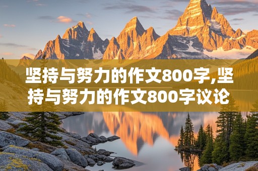 坚持与努力的作文800字,坚持与努力的作文800字议论文