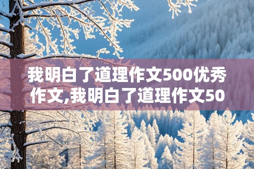 我明白了道理作文500优秀作文,我明白了道理作文500字作文