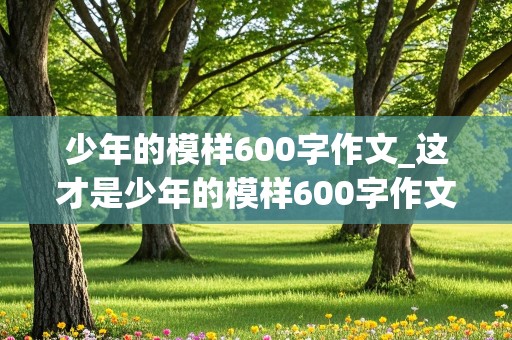 少年的模样600字作文_这才是少年的模样600字作文