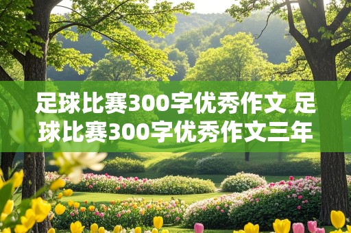 足球比赛300字优秀作文 足球比赛300字优秀作文三年级