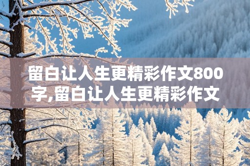 留白让人生更精彩作文800字,留白让人生更精彩作文800字议论文