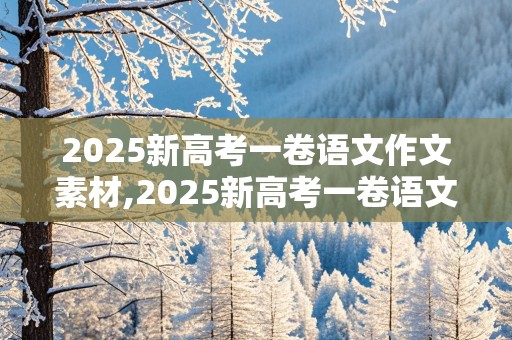 2025新高考一卷语文作文素材,2025新高考一卷语文作文素材分析