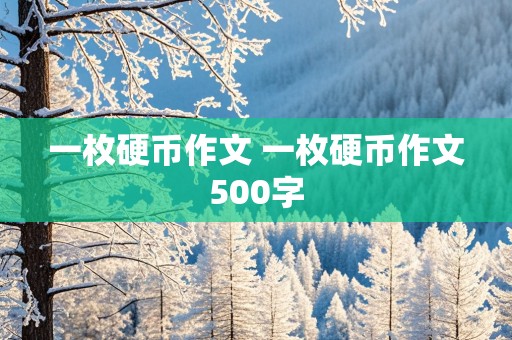 一枚硬币作文 一枚硬币作文500字