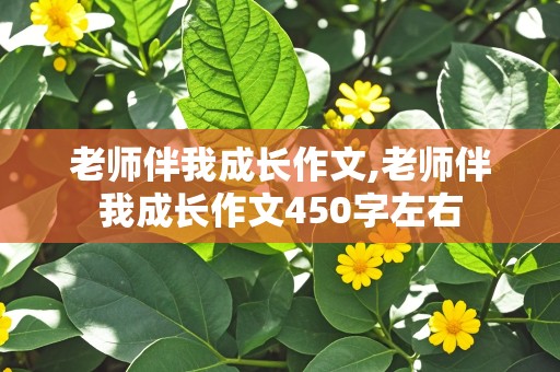 老师伴我成长作文,老师伴我成长作文450字左右