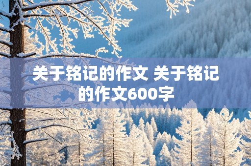 关于铭记的作文 关于铭记的作文600字