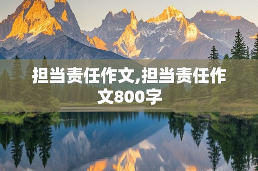 担当责任作文,担当责任作文800字