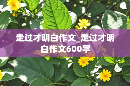 走过才明白作文_走过才明白作文600字