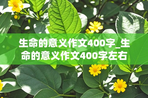 生命的意义作文400字_生命的意义作文400字左右