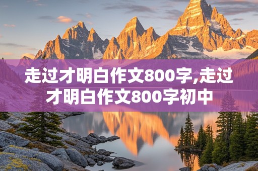 走过才明白作文800字,走过才明白作文800字初中