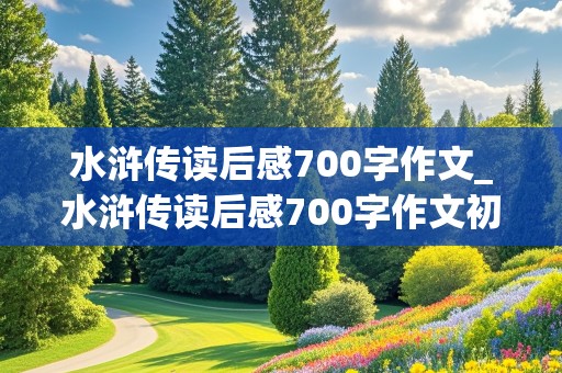 水浒传读后感700字作文_水浒传读后感700字作文初三