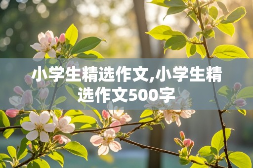 小学生精选作文,小学生精选作文500字