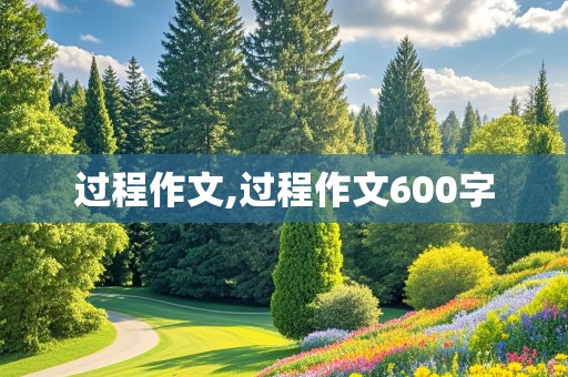 过程作文,过程作文600字