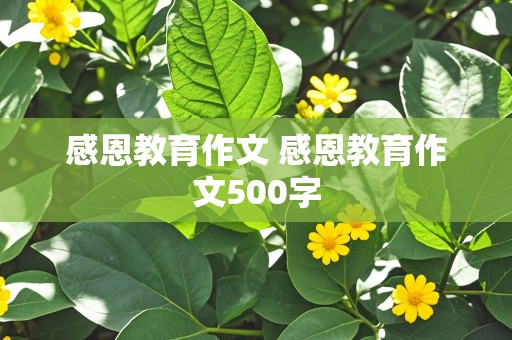 感恩教育作文 感恩教育作文500字