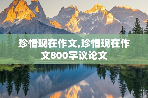 珍惜现在作文,珍惜现在作文800字议论文