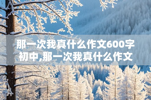 那一次我真什么作文600字初中,那一次我真什么作文600字初中关于亲情