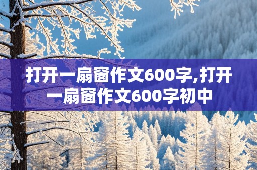 打开一扇窗作文600字,打开一扇窗作文600字初中