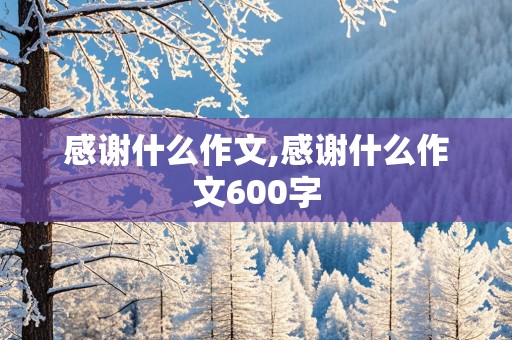 感谢什么作文,感谢什么作文600字