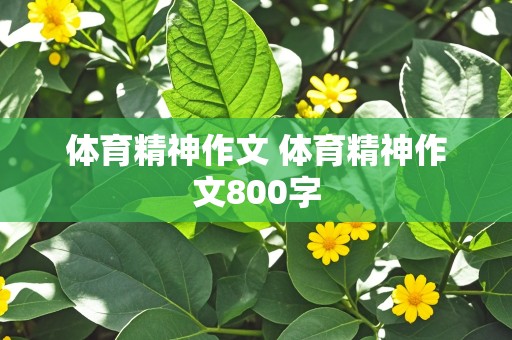 体育精神作文 体育精神作文800字