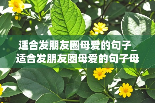 适合发朋友圈母爱的句子_适合发朋友圈母爱的句子母亲图片