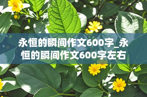 永恒的瞬间作文600字_永恒的瞬间作文600字左右