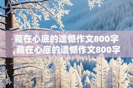 藏在心底的遗憾作文800字,藏在心底的遗憾作文800字初中