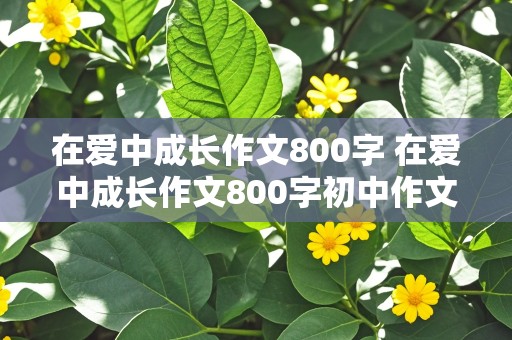 在爱中成长作文800字 在爱中成长作文800字初中作文