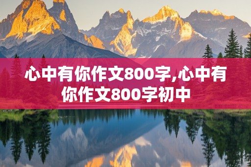 心中有你作文800字,心中有你作文800字初中