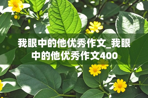 我眼中的他优秀作文_我眼中的他优秀作文400