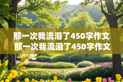 那一次我流泪了450字作文 那一次我流泪了450字作文(感动)