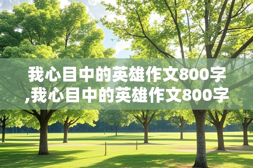 我心目中的英雄作文800字,我心目中的英雄作文800字高中