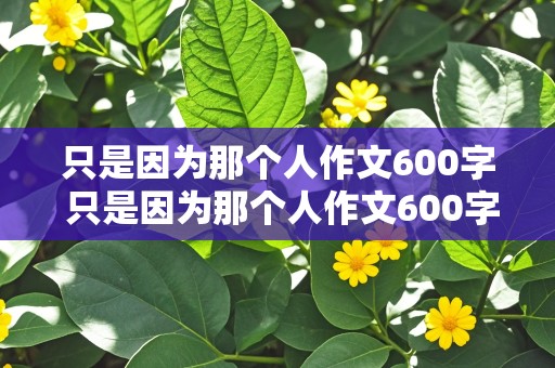 只是因为那个人作文600字 只是因为那个人作文600字初中