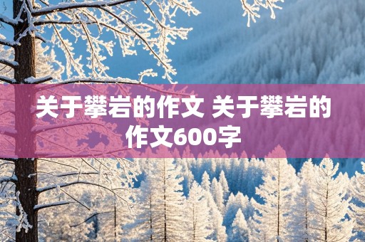 关于攀岩的作文 关于攀岩的作文600字