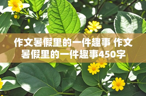 作文暑假里的一件趣事 作文暑假里的一件趣事450字