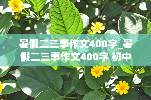 暑假二三事作文400字_暑假二三事作文400字 初中