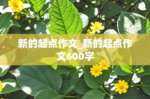 新的起点作文_新的起点作文600字