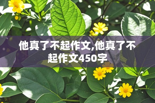 他真了不起作文,他真了不起作文450字