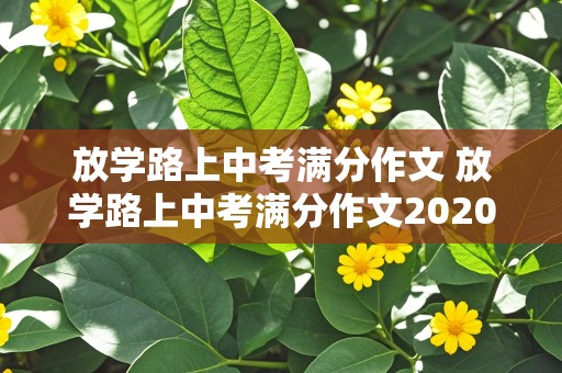 放学路上中考满分作文 放学路上中考满分作文2020