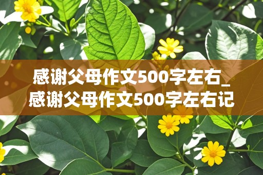 感谢父母作文500字左右_感谢父母作文500字左右记叙文