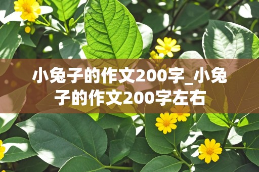 小兔子的作文200字_小兔子的作文200字左右