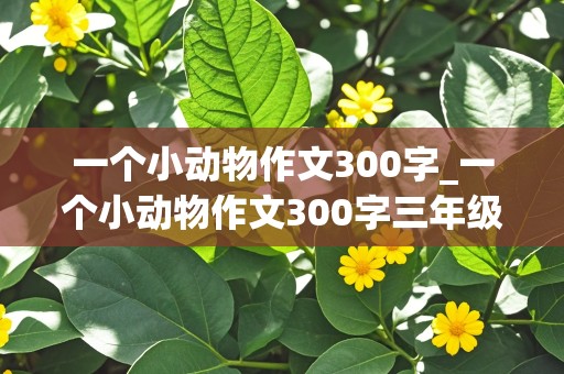 一个小动物作文300字_一个小动物作文300字三年级