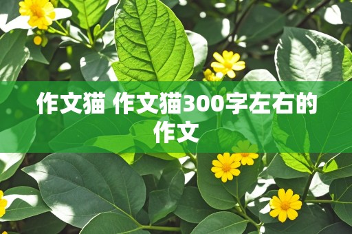 作文猫 作文猫300字左右的作文