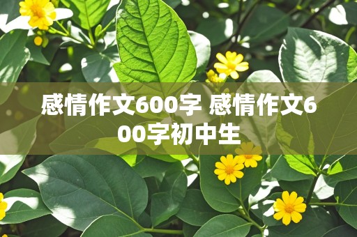 感情作文600字 感情作文600字初中生