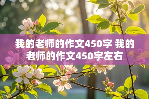 我的老师的作文450字 我的老师的作文450字左右