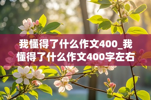 我懂得了什么作文400_我懂得了什么作文400字左右