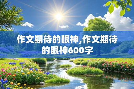 作文期待的眼神,作文期待的眼神600字