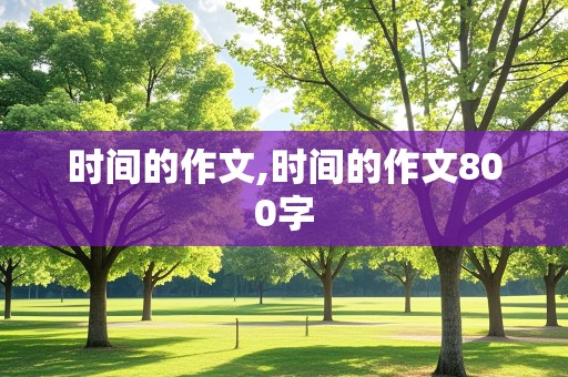 时间的作文,时间的作文800字