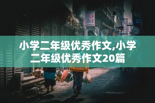 小学二年级优秀作文,小学二年级优秀作文20篇