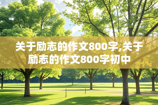 关于励志的作文800字,关于励志的作文800字初中