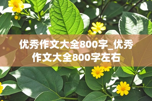 优秀作文大全800字_优秀作文大全800字左右